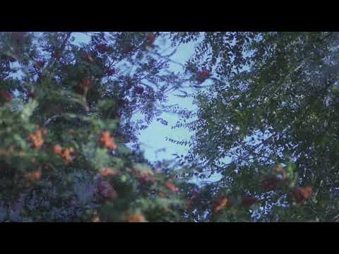 Rinnovare (feat. Bedroom) - Ousia (Official Music Video)