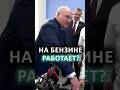 Лукашенко: Нам нужны ТАКИЕ умницы! // Президент пообщался с молодым педагогом #shorts