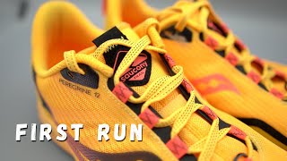 Saucony Peregrine 12 First Run and First Impressions / Peregrine 12 vs 11, is it better? screenshot 4
