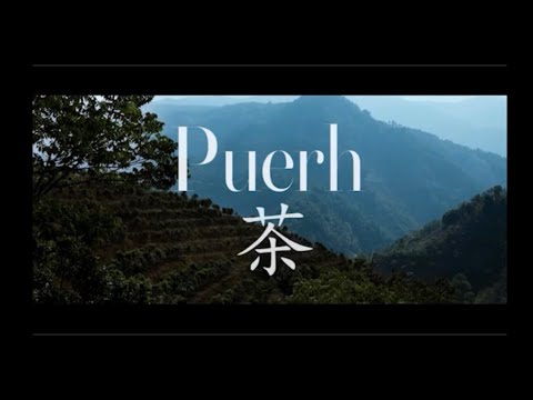 Video: Mis On Pu-erhi Tee