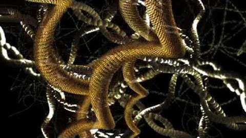 Cassiopeia Project - Biology 2 - Chromosomes