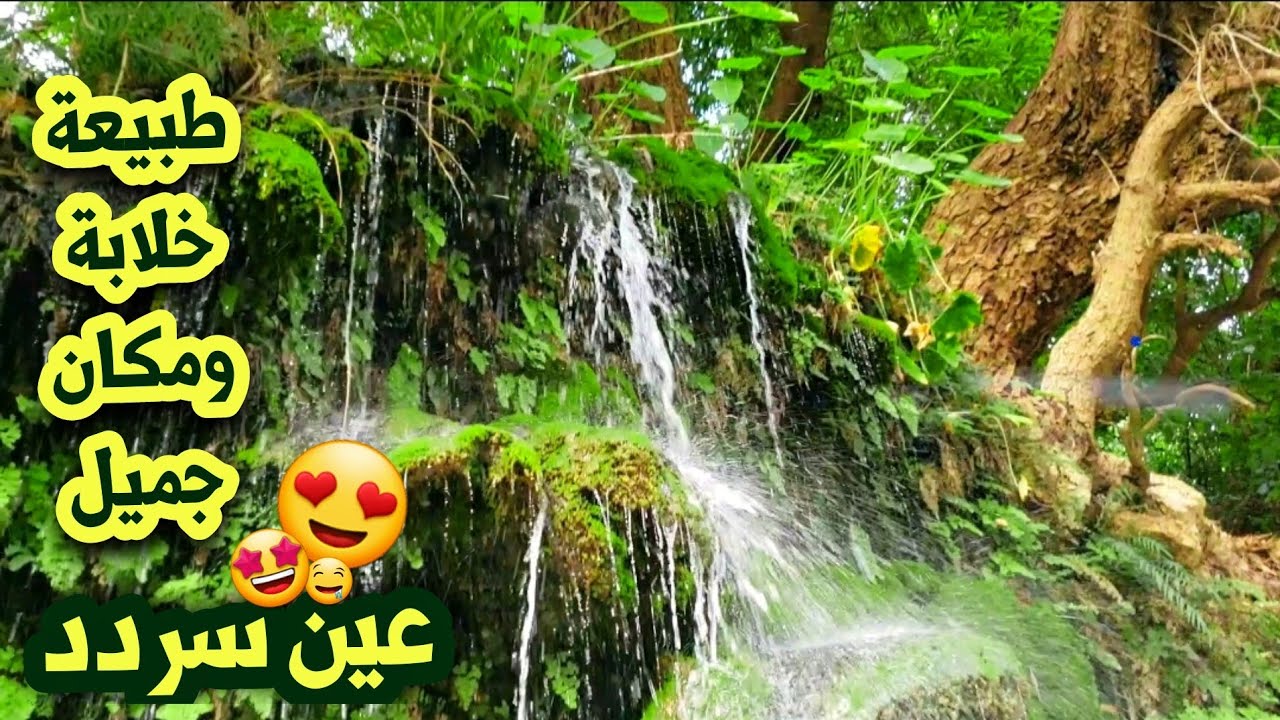 رحلة الى شلالات عيون سردد المحويت 😍 جنة الله في الارض من اليمن