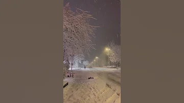 Snowfall Night Tiktok Anais Menard 