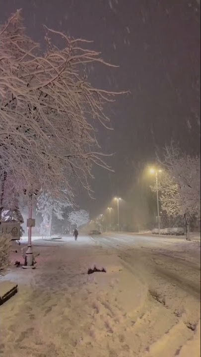 Snowfall Night tiktok anais menard