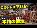 【ボディビルダーの聖地】有名選手が集まる横浜マリンの魅力とは