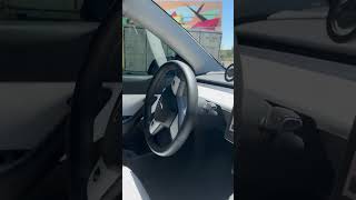 Passenger Startled by Smart Car's Parking Lot Drive
