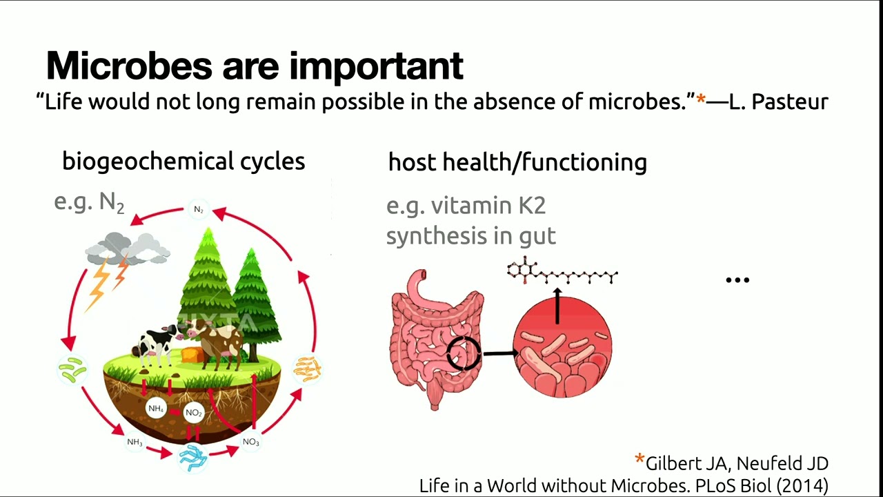 Quantitative Physiology | Critical thinking - session 1