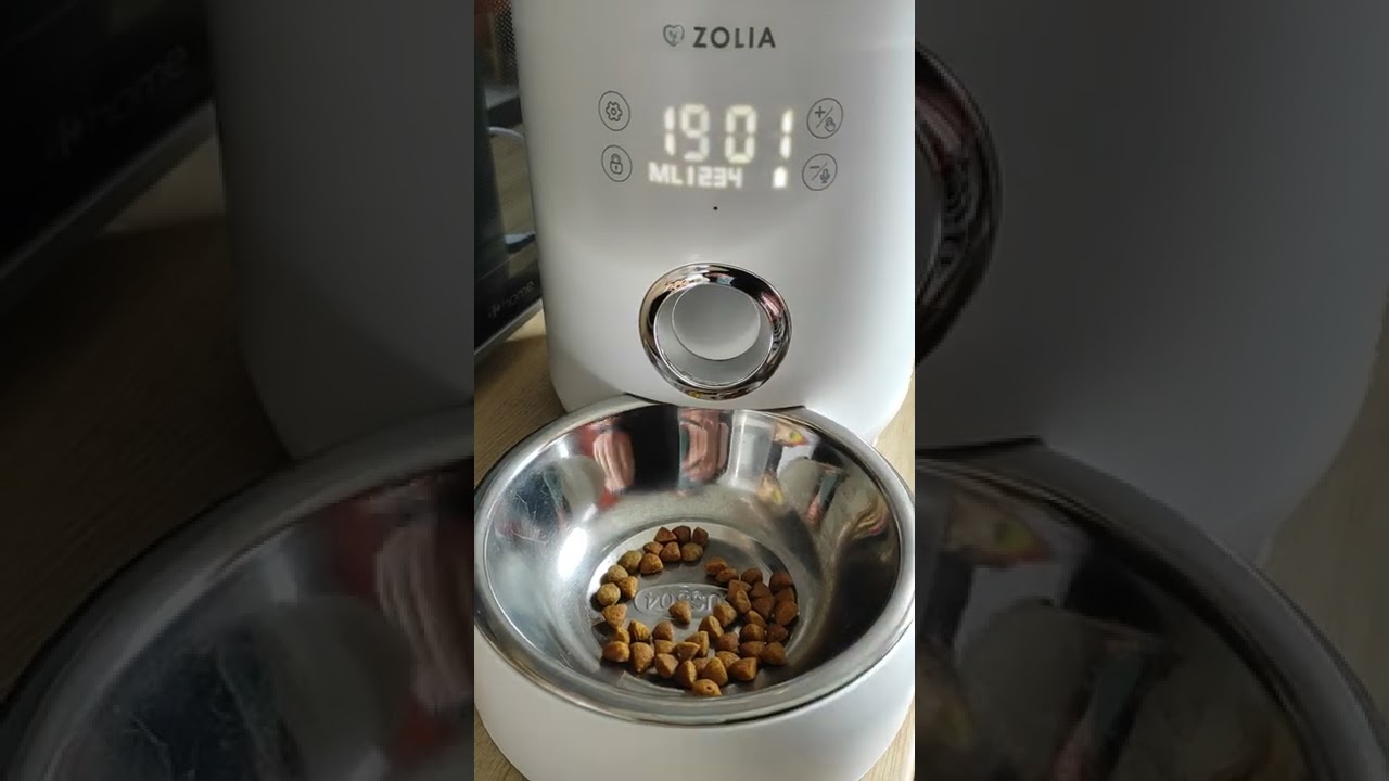 Distributeur Automatique de croquettes - 6 L - Zolia ZD 150 pour chats et  chiens