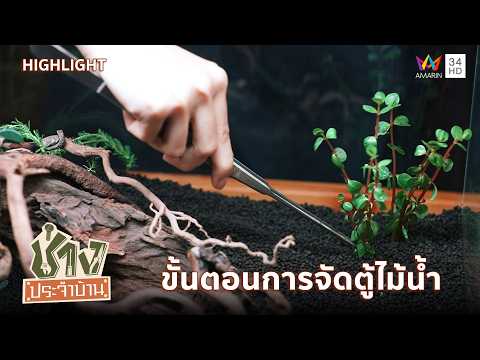 ขั้นตอนการจัดตู้ไม้น้ำ | ช่างประจำบ้าน HIGHLIGHT