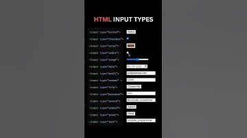 HTML Input Tag Explained in 60 Seconds | Learn HTML Basics for Beginners #shorts