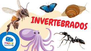 ANIMALES INVERTEBRADOS  para niños -  Artrópodos, moluscos, gusanos, celentéreos y equinodermos