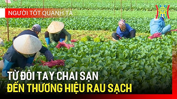 Vượt lên khó khăn, nông dân Mê Linh tự tay xây dựng thương hiệu rau sạch | Người tốt quanh ta