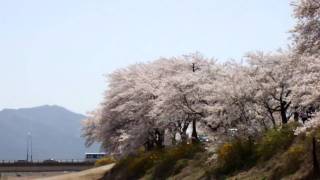 DSCF2455.AVI-김유신로 02