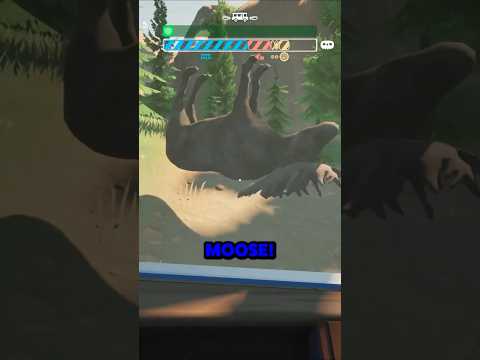 The Moose Tried Committing Insurance Fraud We Swear 