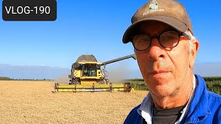 FARMVLOG #190 combine wheat, bankerfield in the onions