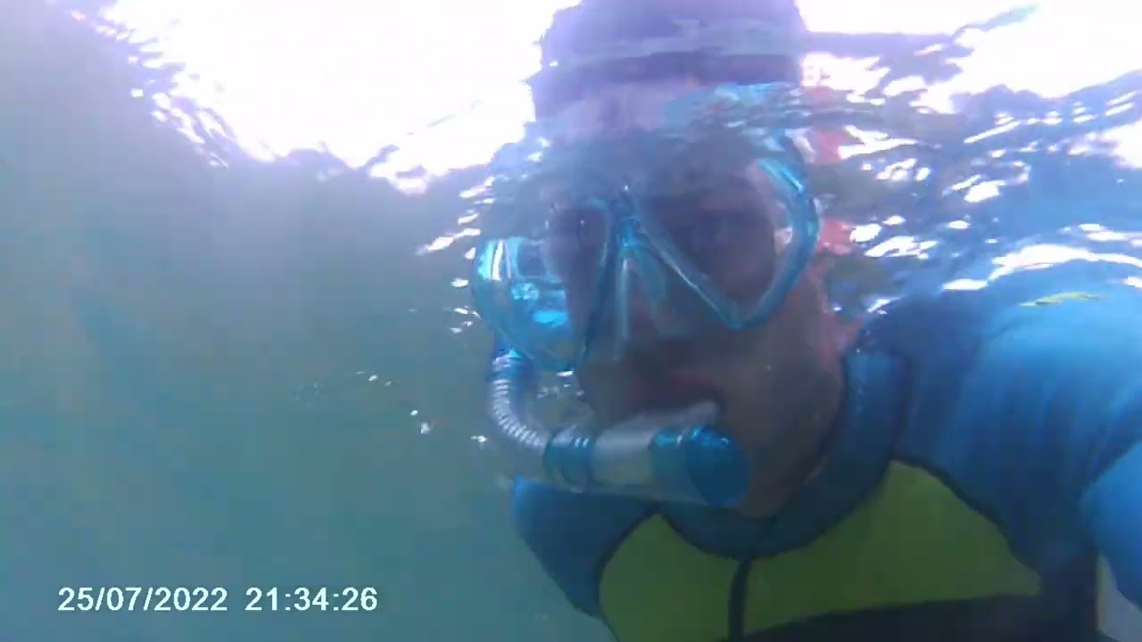 Playa Trengandin Noja Snorkel Julio/Agosto 2022