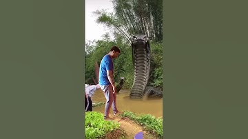 snake video ! vfx video ! kinemaster se video kaise edit kare ! invisible vfx magic video