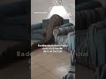 🇿🇼 Zimbabwe : un crocodile s’invite à l’intérieur d’un hôtel.