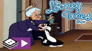 Sylvester & Tweety | Tweety Koruma Altında | Boomerang Resimi