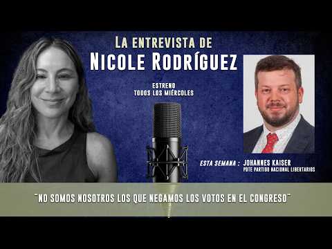 "We Are Not The Ones Denying Votes In Congress" | Johannes Kaiser