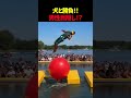 目隠しの状態で犬に勝てるのか！？#shorts #dog #天才