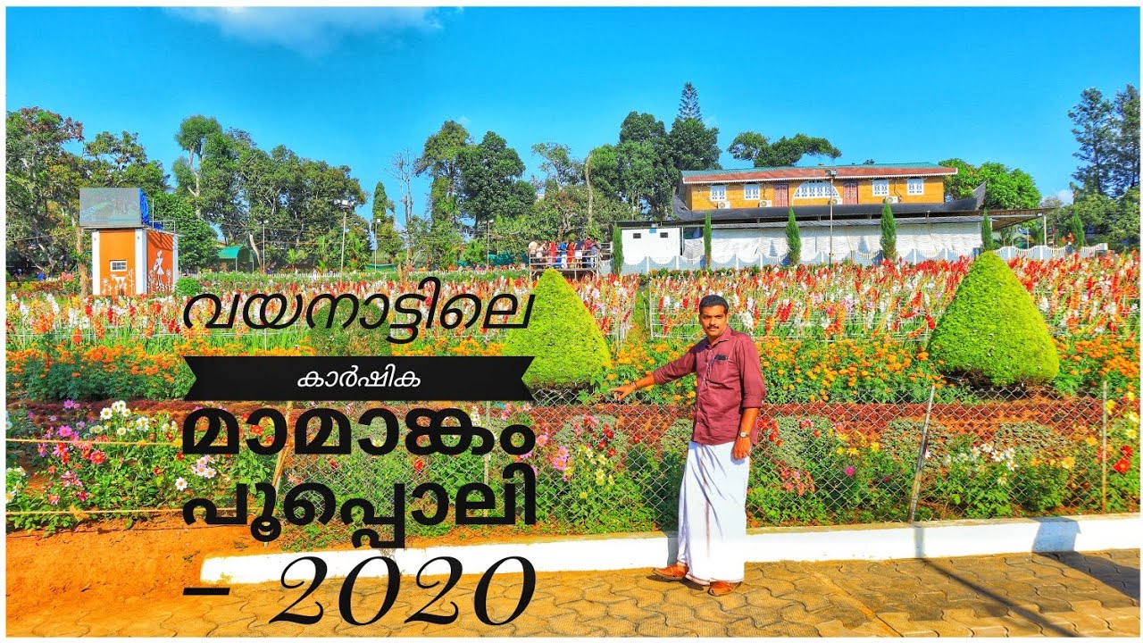 Poopoli | WAYANAD | AMBALAVAYAL | 2020 | Awesome flower show |#flowers #flowershow