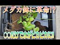メダカ鉢に革命⁉　〇〇だけでピカピカの水に‼　aquarium　アクアリウム　めだか　水草　流木　ビオトープ