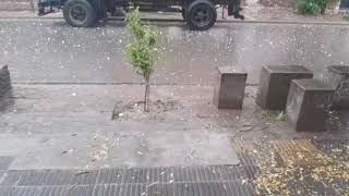 Tormentas y caída de granizo en Suncho Corral