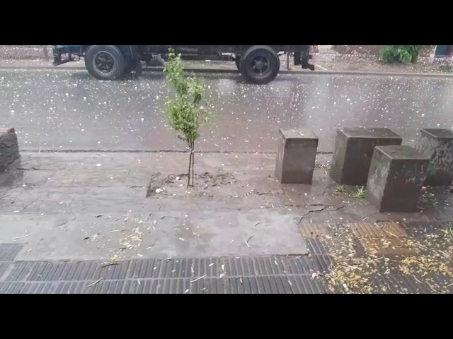 Tormentas y caída de granizo en Suncho Corral
