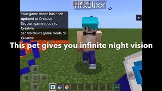 Minecraft Mod Showcase - Inventory Pets!