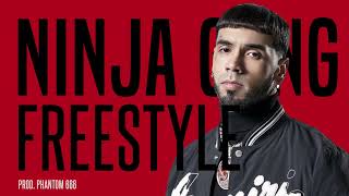 ANUEL AA - NINJA GANG 🥷 FREESTYLE (2024) AI