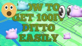 Let's catch 100iv Ditto easily. 👍👍 screenshot 5