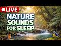 🔴 LIVE Peaceful River Flow &amp; Birds Chirping 🐦 Nature Sounds for Deep Relaxation