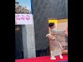 ♫城端曳山祭(宵祭)2025.5.4