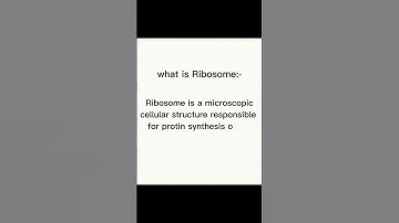 What is Ribosome #education #definition #shorts #scienceeducation