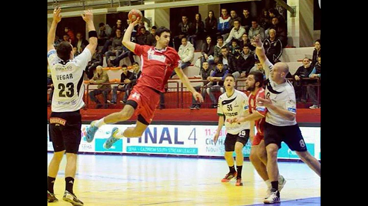 Miodrag Stanojevic CV