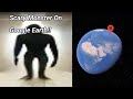 Scary Monster on google earth and google maps street view scary🤯😱😱🤯😱🤯😱🤯😱🤯😱🤯