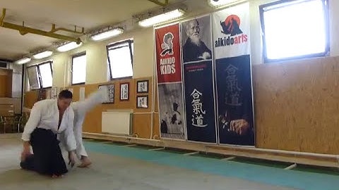 jyu waza ryotedori, ushiro ryotedori [TUTORIAL] Aikido empty hand advanced techniques