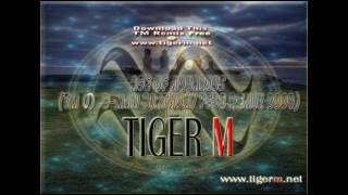 Age of Aquarius (B-Man Birthday Remix) [TIGER M]