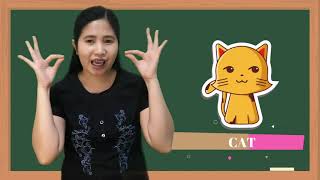 Animals Sign Language with Olivia Aguila