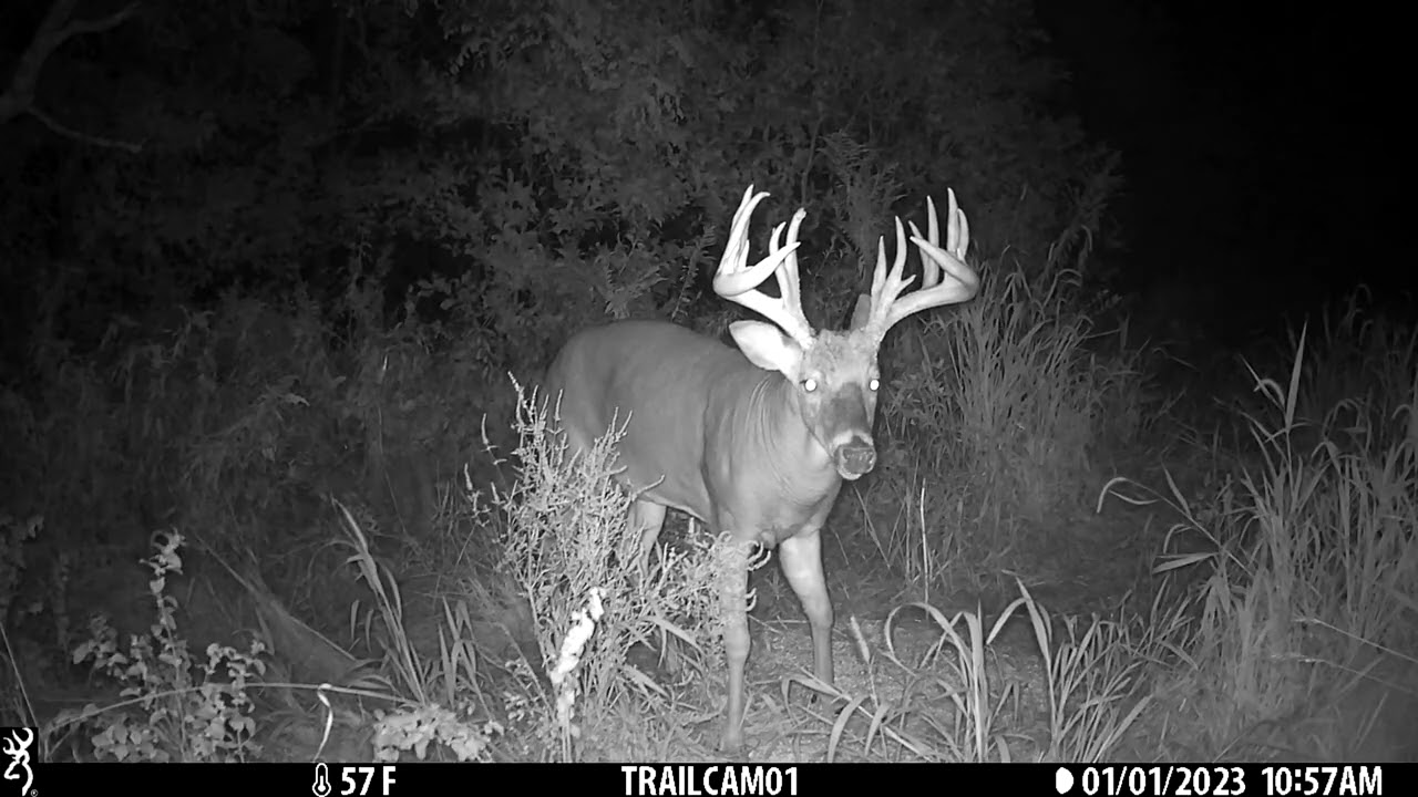 Browning Trail Cameras - Whitetail Freaks 200+ Inch Iowa Buck