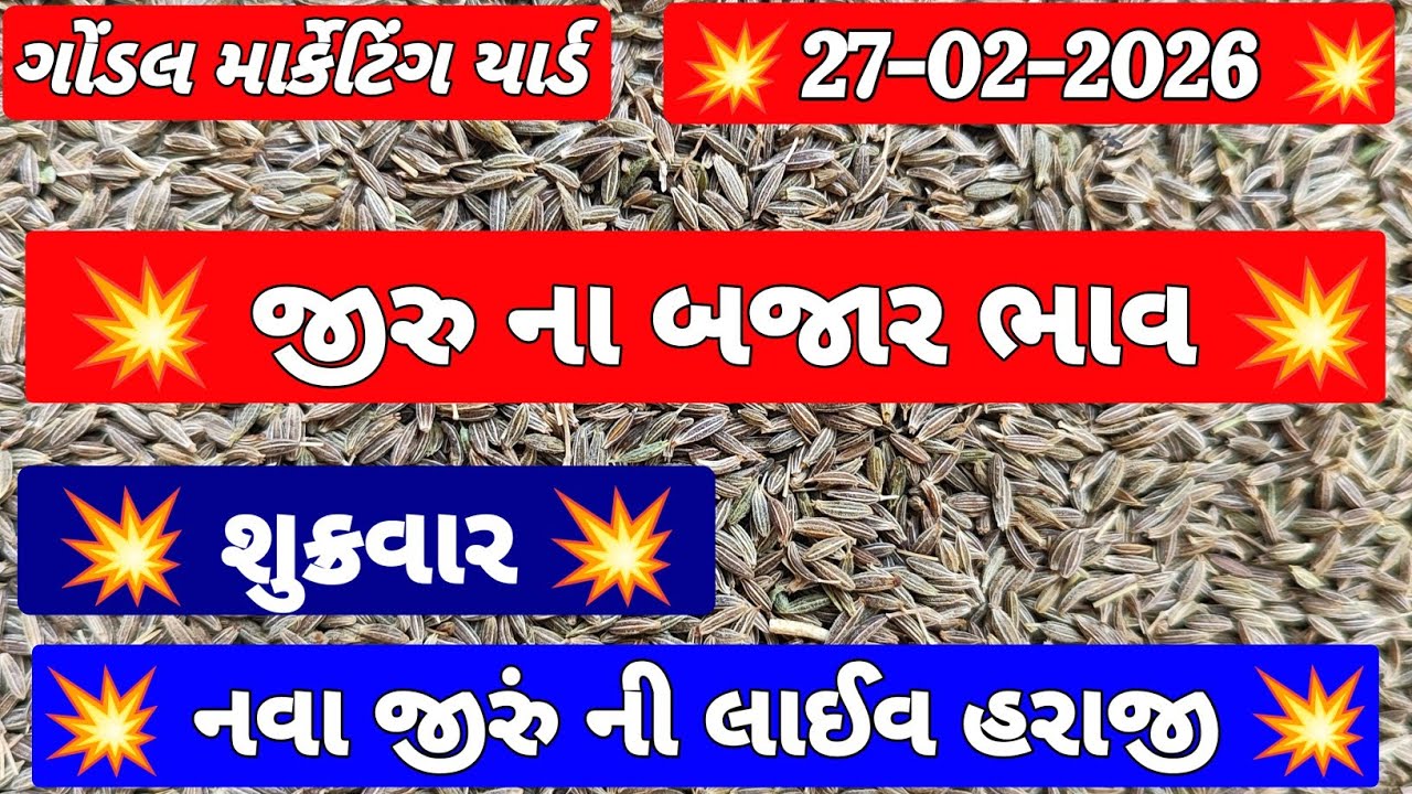 નવા જીરા ના ભાવ | 27-02-2026 | Nava jeera na bhav | જીરા ના ભાવ | RJ Gondal Marketing Yard
