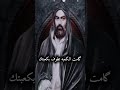 الزهرة ما طلكت بعد من جابتك وانته حتى الكعبة طلعت زارتك   مهدي العبودي نجومي