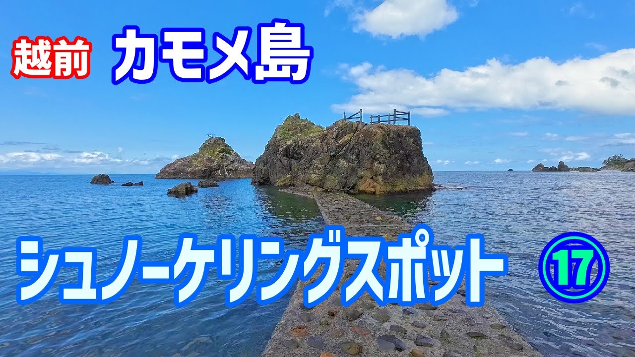 無人島カモメ島の海中映像【河野海水浴場】Snorkeling in Fukui,Japan