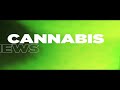 Cannabis News - What's Jerry Brown's Problem? | Ep. 332 | 02-12-2019