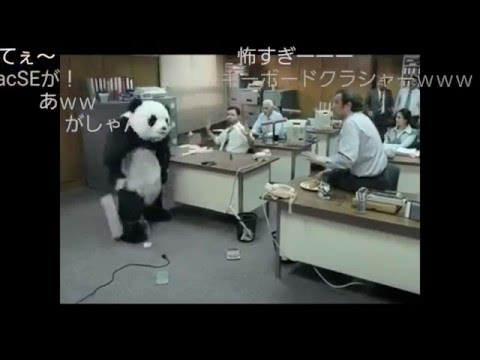 《キレパンダ》海外おもしろCM