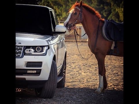 أين انت يالي ساكن بالمحاني