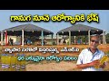 కట్టె గానుగ నూనెలతో ఆరోగ్యం భేష్ || ఎడ్ల సహాయంతో గానుగ నూనె ఉత్పత్తి చేస్తున్న NRI || Karshaka Mitra