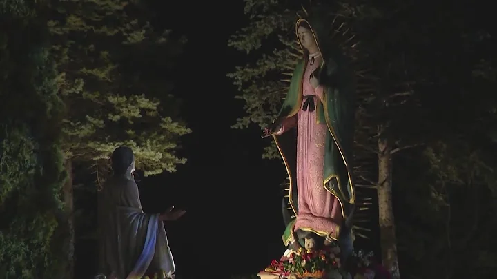 Thousands travel to Des Plaines for Our Lady of Gu...