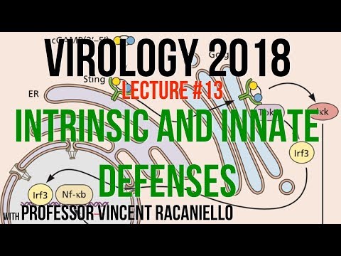 Virology Lectures 2018